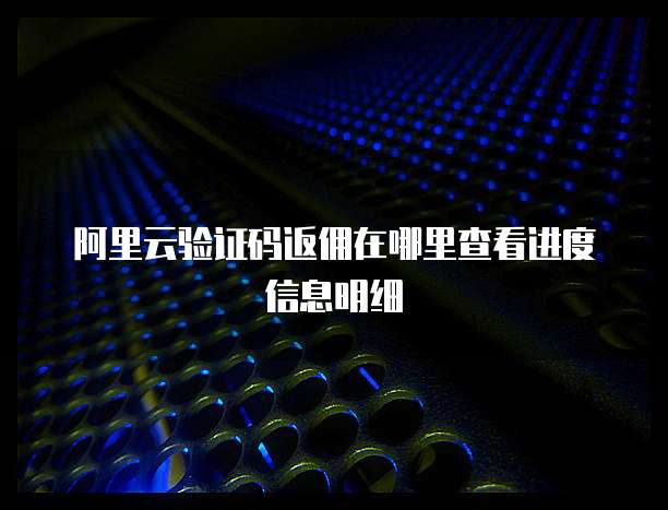 阿里云验证码返佣在哪里查看进度信息明细