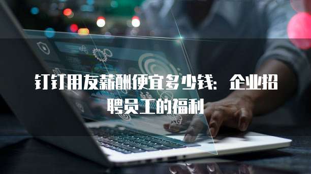 钉钉用友薪酬便宜多少钱：企业招聘员工的福利