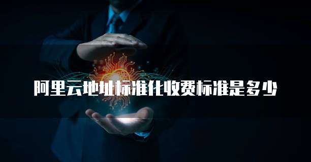阿里云地址标准化收费标准是多少