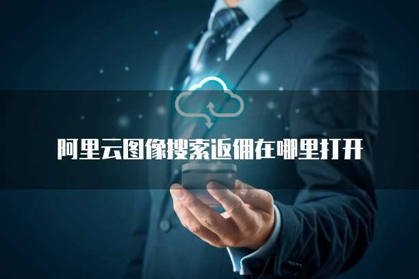 阿里云图像搜索返佣在哪里打开