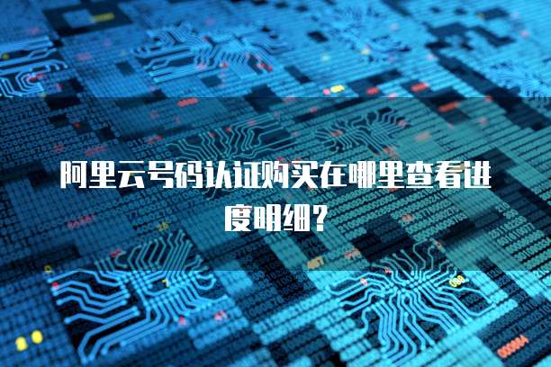 阿里云号码认证购买在哪里查看进度明细?