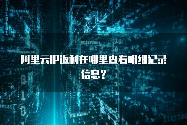 阿里云IP返利在哪里查看明细记录信息?