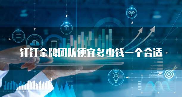 钉钉金牌团队便宜多少钱一个合适