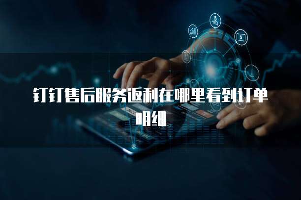 钉钉售后服务返利在哪里看到订单明细