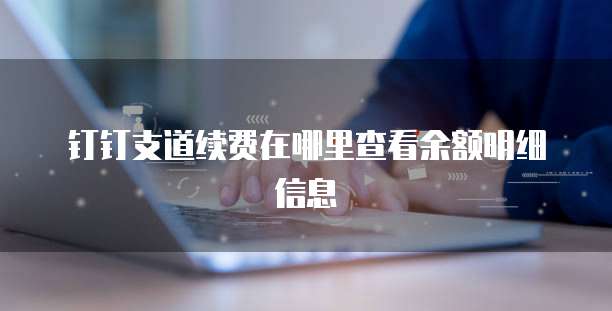 钉钉支道续费在哪里查看余额明细信息
