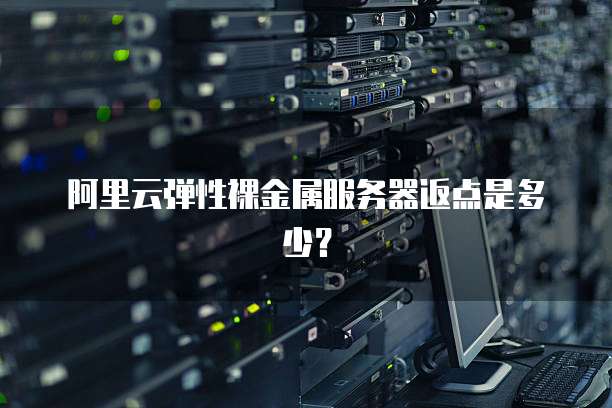 阿里云弹性裸金属服务器返点是多少？