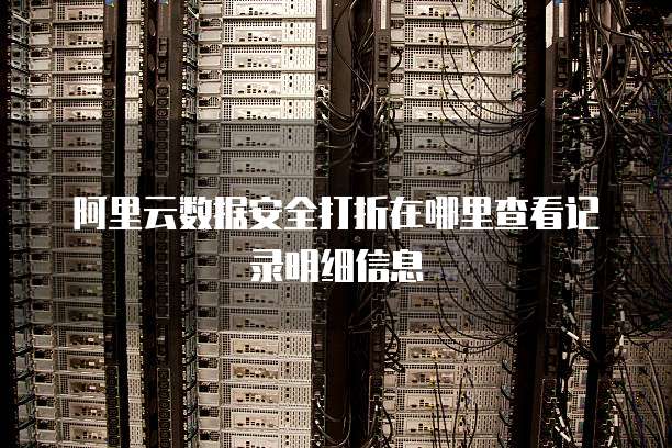 阿里云数据安全打折在哪里查看记录明细信息
