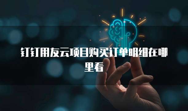 钉钉用友云项目购买订单明细在哪里看