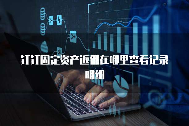钉钉固定资产返佣在哪里查看记录明细