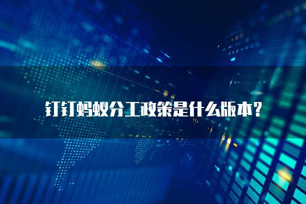 钉钉蚂蚁分工政策是什么版本？