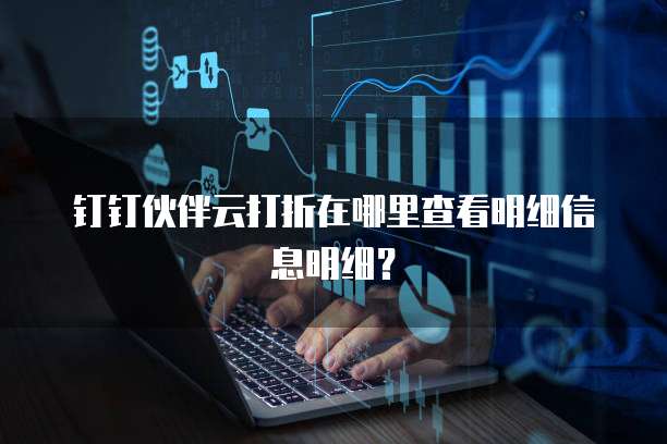 钉钉伙伴云打折在哪里查看明细信息明细?
