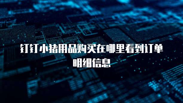 钉钉小猪用品购买在哪里看到订单明细信息