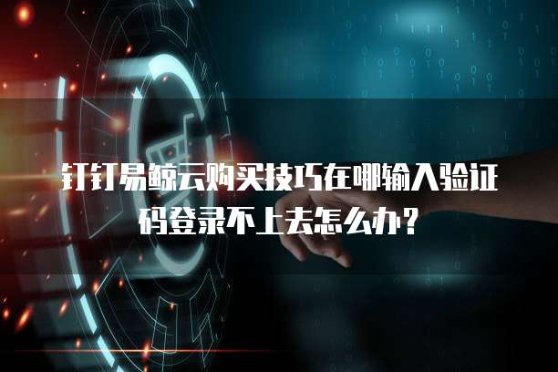 钉钉易鲸云购买技巧在哪输入验证码登录不上去怎么办?