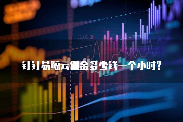 钉钉易鲸云佣金多少钱一个小时？