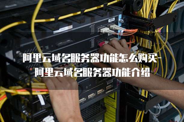 阿里云域名服务器功能怎么购买-阿里云域名服务器功能介绍