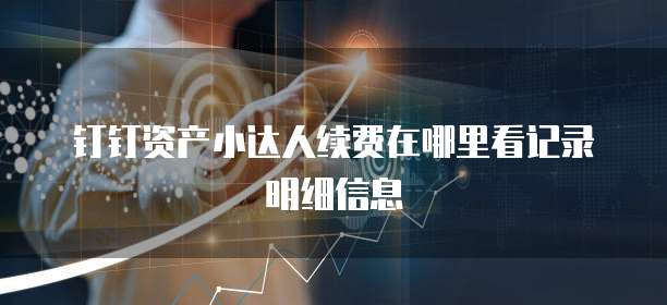 钉钉资产小达人续费在哪里看记录明细信息