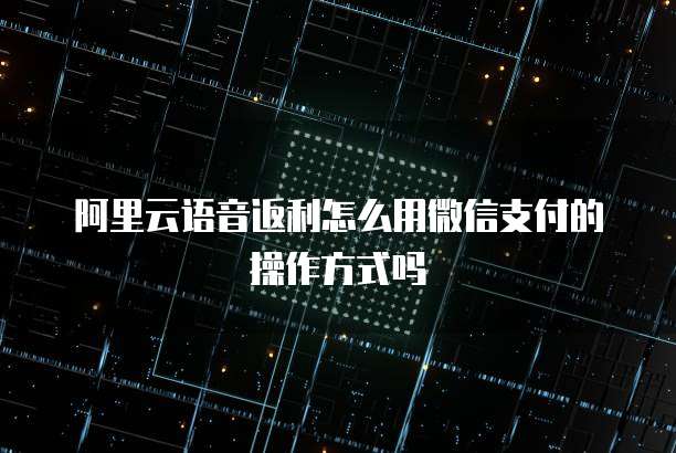 阿里云语音返利怎么用微信支付的操作方式吗