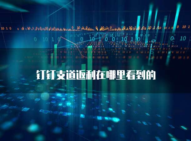 钉钉支道返利在哪里看到的