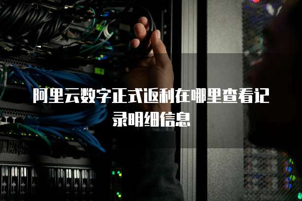 阿里云数字正式返利在哪里查看记录明细信息