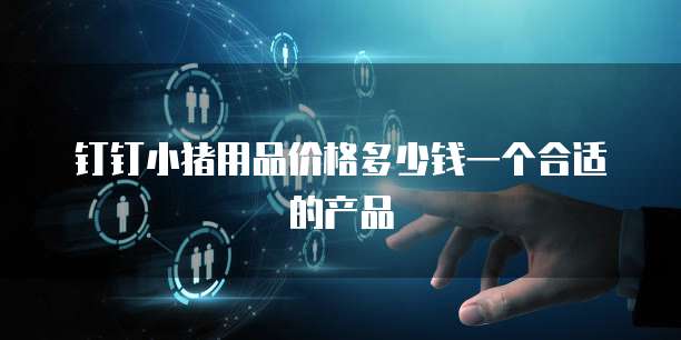 钉钉小猪用品价格多少钱一个合适的产品