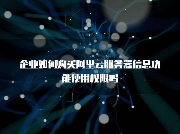 企业如何购买阿里云服务器信息功能使用权限吗