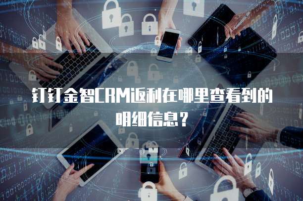 钉钉金智CRM返利在哪里查看到的明细信息?