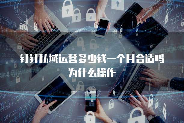 钉钉私域运营多少钱一个月合适吗为什么操作
