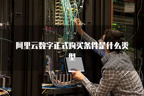 阿里云数字正式购买条件是什么类型