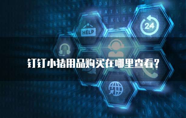 钉钉小猪用品购买在哪里查看?