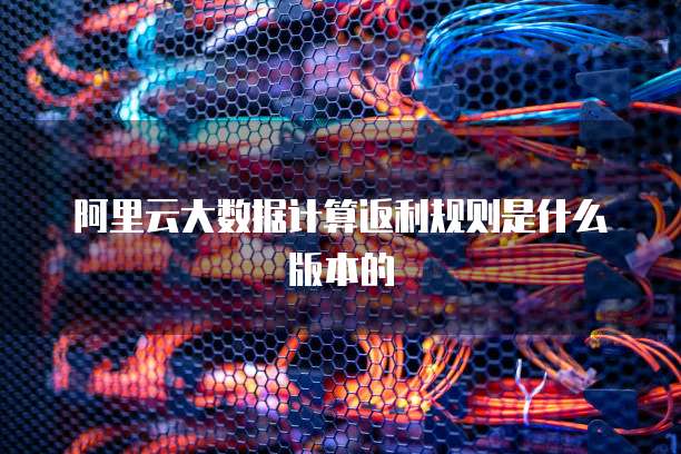 阿里云大数据计算返利规则是什么版本的