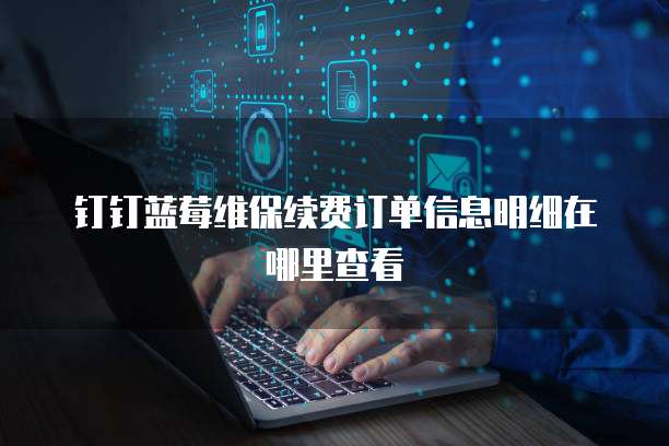 钉钉蓝莓维保续费订单信息明细在哪里查看