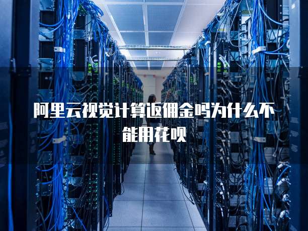 阿里云视觉计算返佣金吗为什么不能用花呗