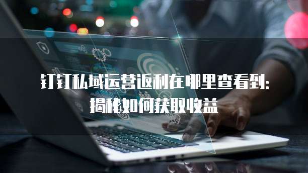 钉钉私域运营返利在哪里查看到:揭秘如何获取收益