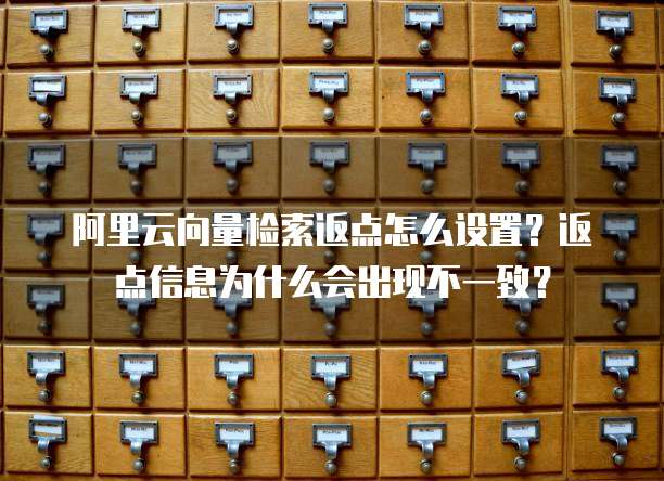 阿里云向量检索返点怎么设置?返点信息为什么会出现不一致?
