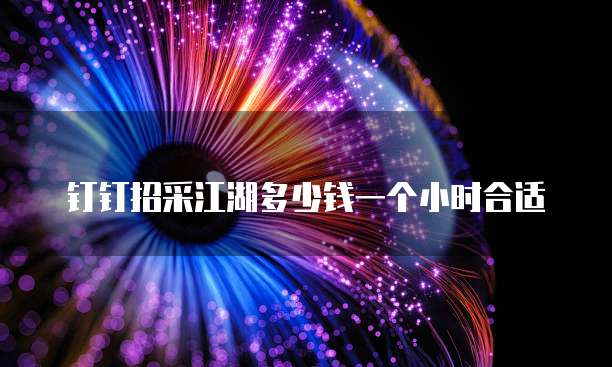 钉钉招采江湖多少钱一个小时合适