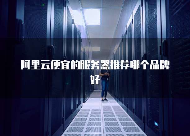 阿里云便宜的服务器推荐哪个品牌好