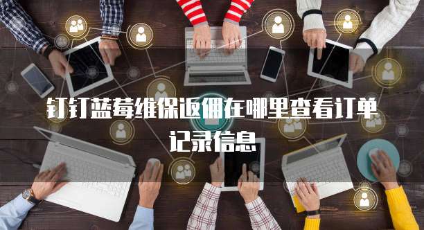 钉钉蓝莓维保返佣在哪里查看订单记录信息