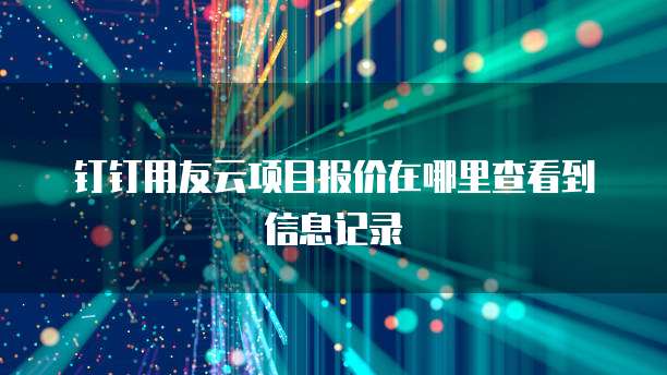 钉钉用友云项目报价在哪里查看到信息记录