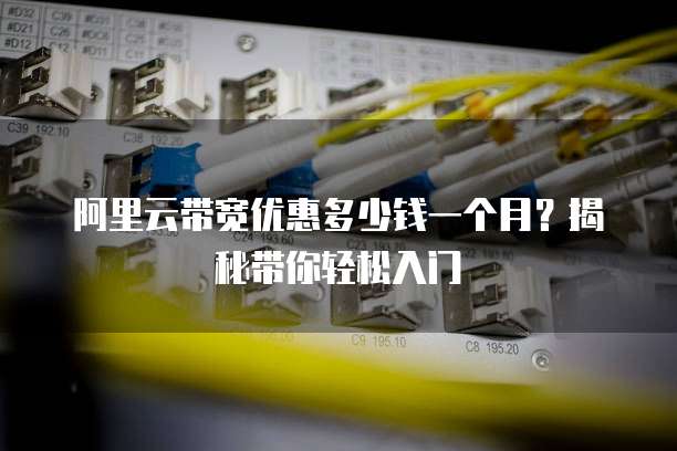阿里云带宽优惠多少钱一个月?揭秘带你轻松入门