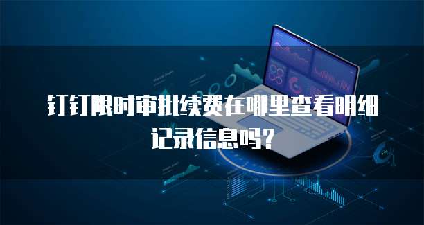 钉钉限时审批续费在哪里查看明细记录信息吗?