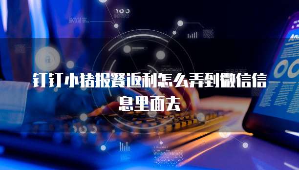 钉钉小猪报餐返利怎么弄到微信信息里面去