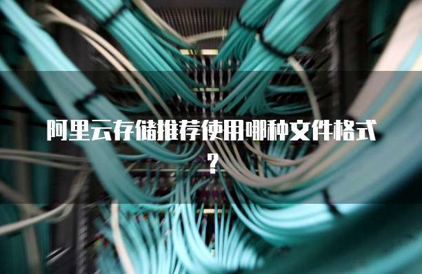 阿里云存储推荐使用哪种文件格式？