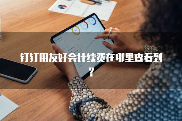 钉钉用友好会计续费在哪里查看到?
