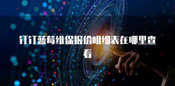 钉钉蓝莓维保报价明细表在哪里查看