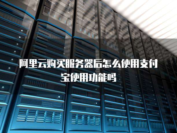 阿里云购买服务器后怎么使用支付宝使用功能吗