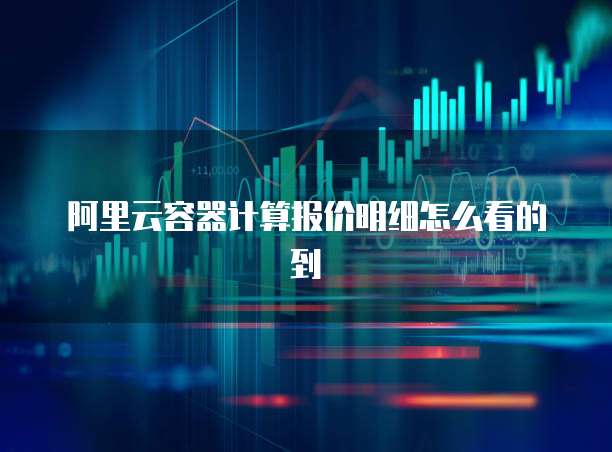 阿里云容器计算报价明细怎么看的到
