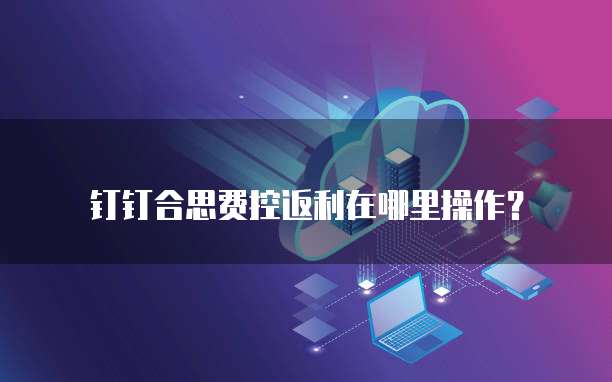 钉钉合思费控返利在哪里操作？