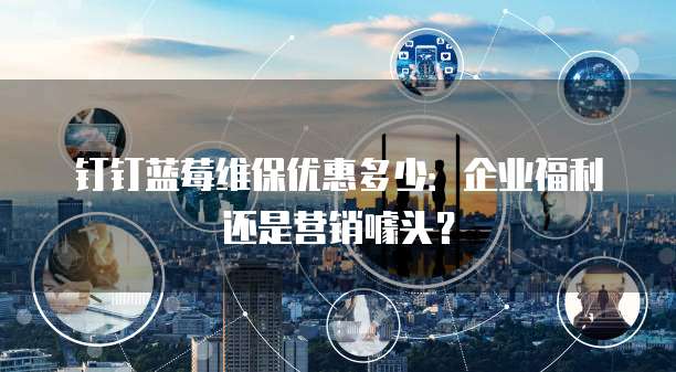 钉钉蓝莓维保优惠多少：企业福利还是营销噱头？