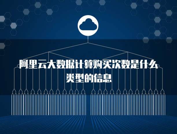 阿里云大数据计算购买次数是什么类型的信息