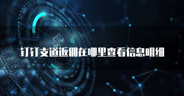 钉钉支道返佣在哪里查看信息明细